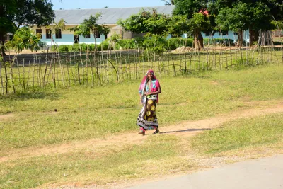 DSC_8313 (Large).JPG